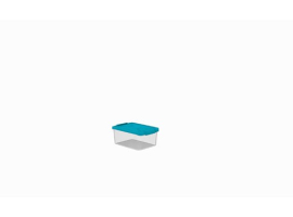 CAJA MULTI-BOX  5,5 L